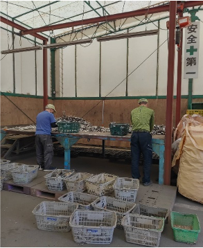 コミュサポ・ひかりギャラリー画像3